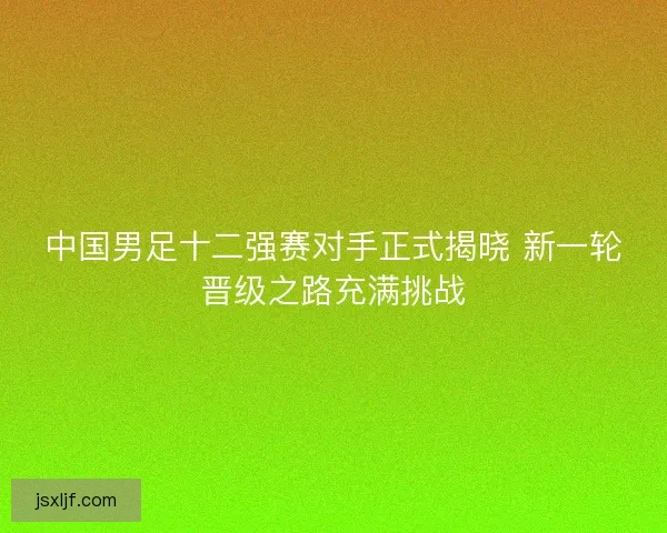 中国男足十二强赛对手正式揭晓 新一轮晋级之路充满挑战